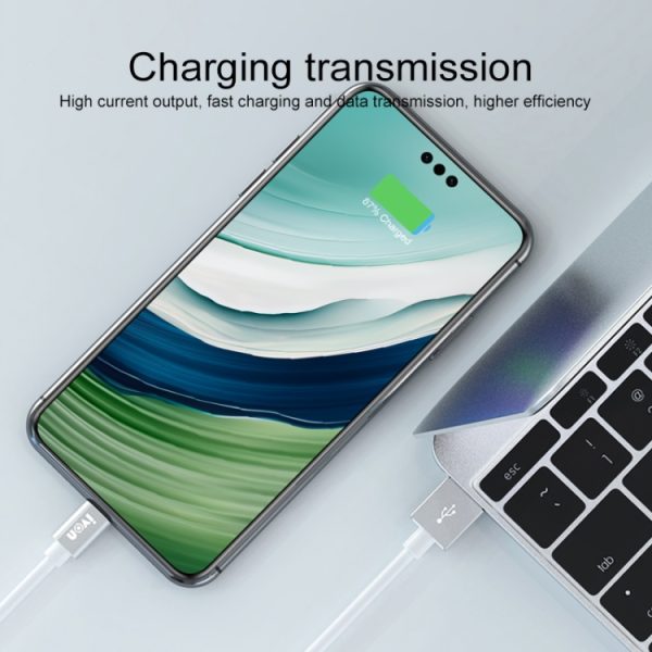 IVON CA73 2.4A Type-C / USB-C snellaaddatakabel, lengte: 2m, Type-C